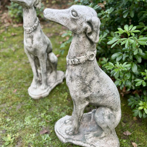 Paire de lévriers assis en pierre reconstituée - Sculptures - Décor de jardin, Portugal XXe siècle