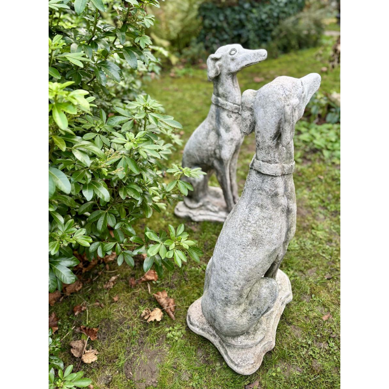 Paire de lévriers assis en pierre reconstituée - Sculptures - Décor de jardin, Portugal XXe siècle