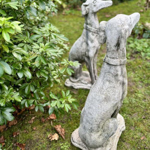 Pair of seated greyhounds in reconstituted stone - Sculptures - Garden decoration, Portugal, 20th century