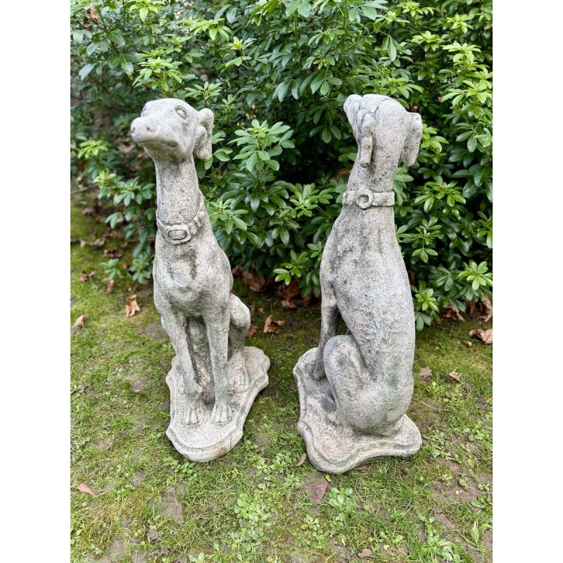 Pair of seated greyhounds in reconstituted stone - Sculptures - Garden decoration, Portugal, 20th century