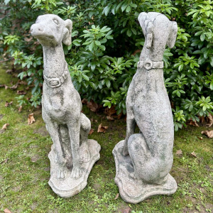 Pair of seated greyhounds in reconstituted stone - Sculptures - Garden decoration, Portugal, 20th century