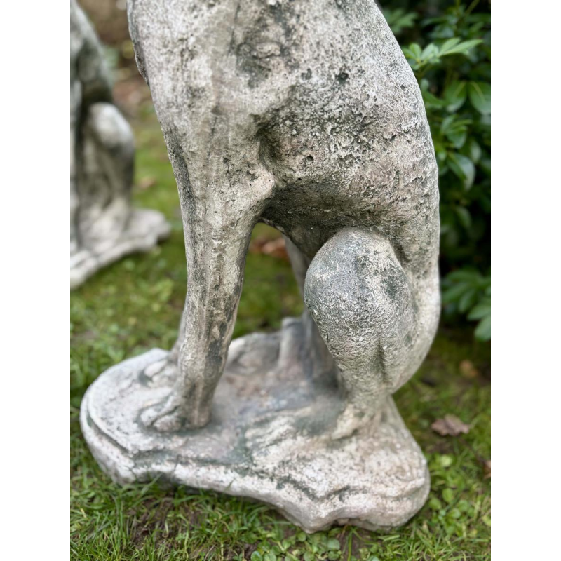 Pair of seated greyhounds in reconstituted stone - Sculptures - Garden decoration, Portugal, 20th century