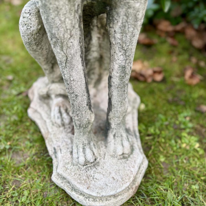 Pair of seated greyhounds in reconstituted stone - Sculptures - Garden decoration, Portugal, 20th century