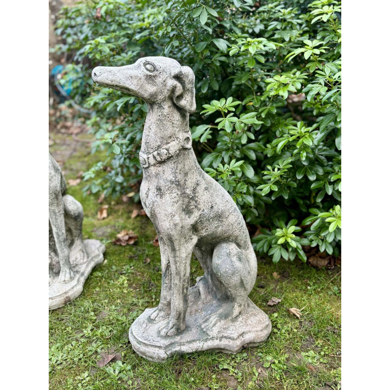 Pair of seated greyhounds in reconstituted stone - Sculptures - Garden decoration, Portugal, 20th century