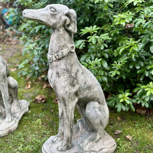 Paire de lévriers assis en pierre reconstituée - Sculptures - Décor de jardin, Portugal XXe siècle