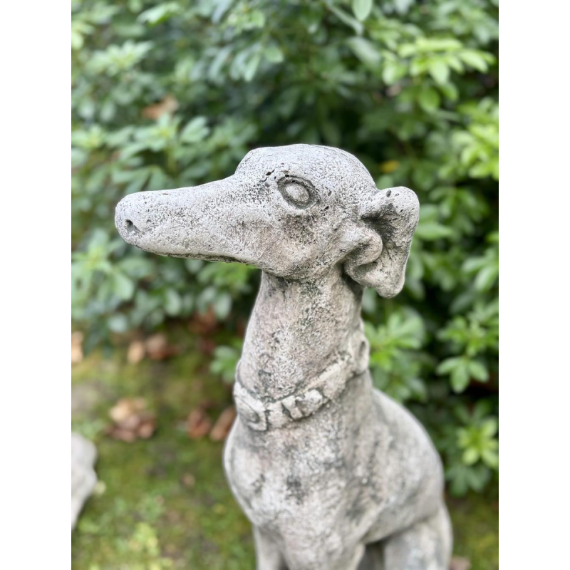 Pair of seated greyhounds in reconstituted stone - Sculptures - Garden decoration, Portugal, 20th century