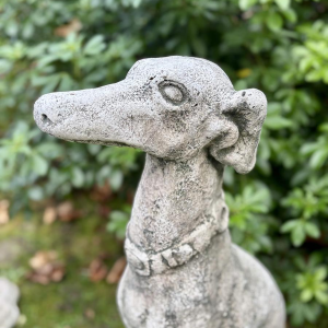 Pair of seated greyhounds in reconstituted stone - Sculptures - Garden decoration, Portugal, 20th century