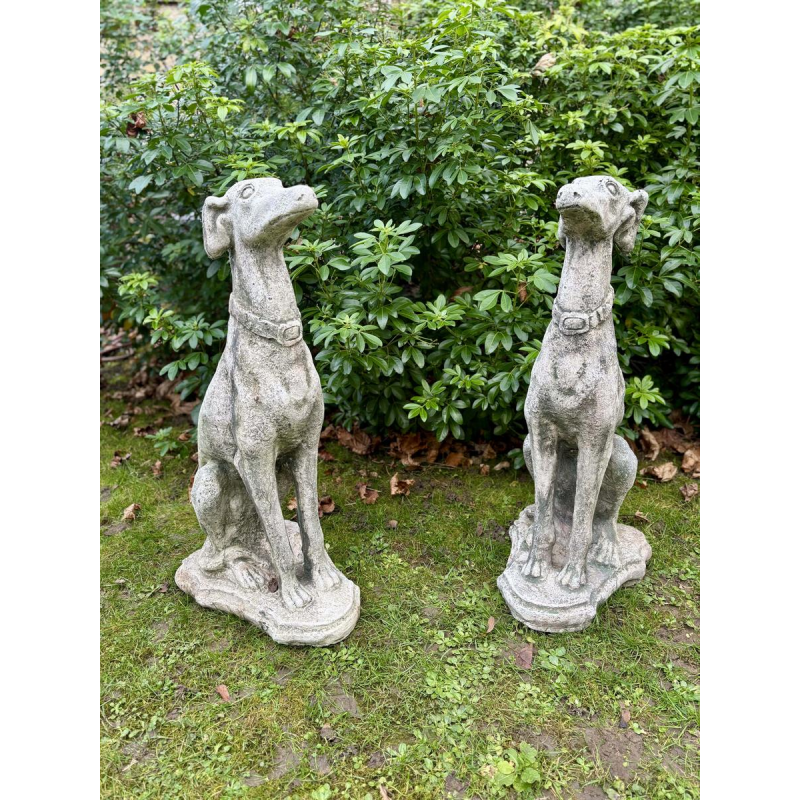 Pair of seated greyhounds in reconstituted stone - Sculptures - Garden decoration, Portugal, 20th century
