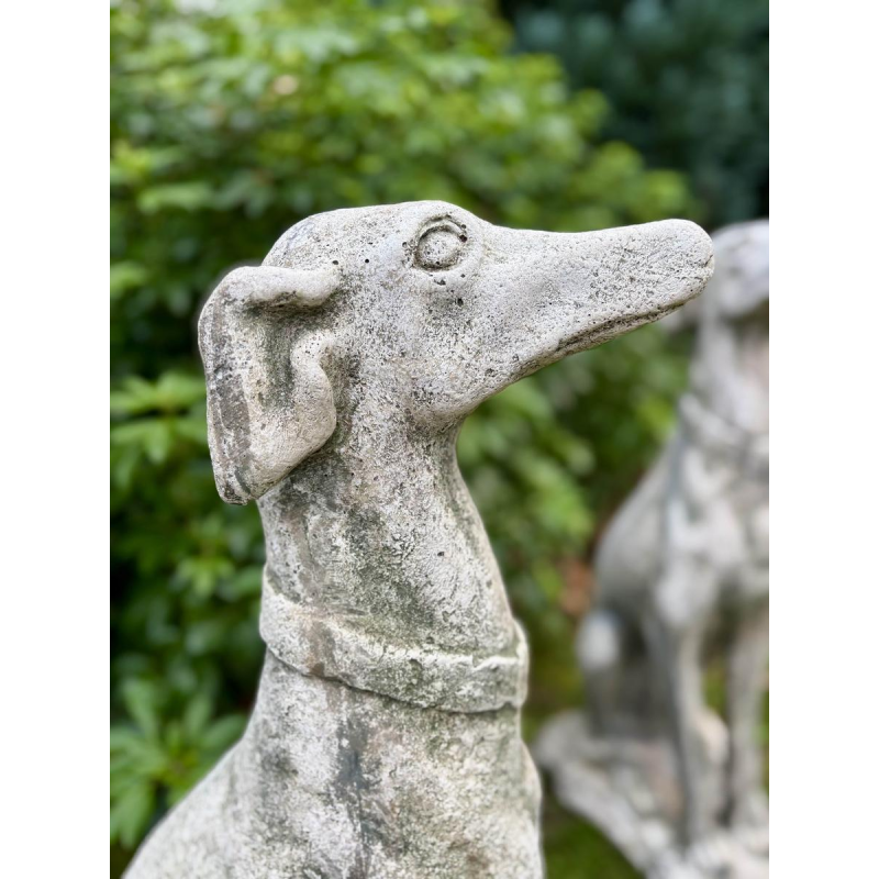 Paire de lévriers assis en pierre reconstituée - Sculptures - Décor de jardin, Portugal XXe siècle