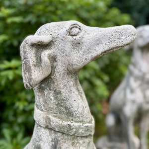 Pair of seated greyhounds in reconstituted stone - Sculptures - Garden decoration, Portugal, 20th century