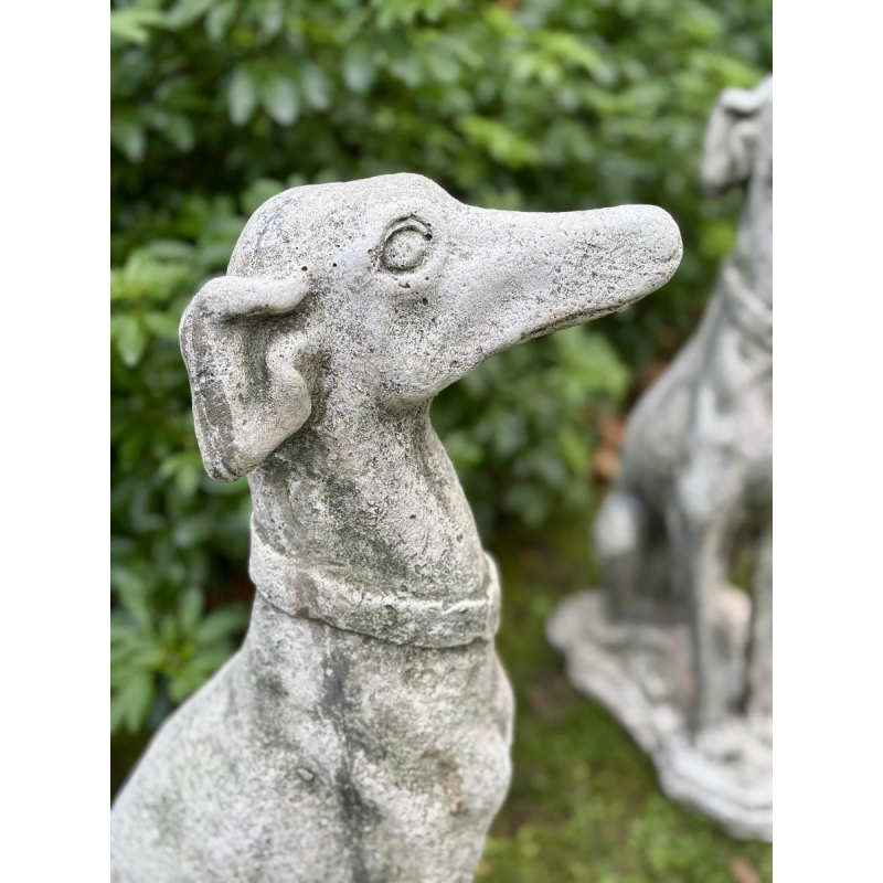 Paire de lévriers assis en pierre reconstituée - Sculptures - Décor de jardin, Portugal XXe siècle