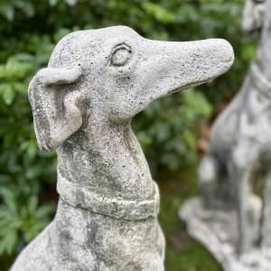 Twee zittende windhonden van gereconstrueerd steen - Beelden - Tuindecoratie, Portugal, 20e eeuw