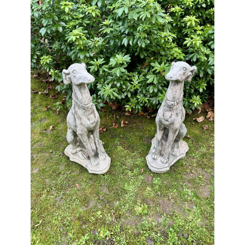 Paire de lévriers assis en pierre reconstituée - Sculptures - Décor de jardin, Portugal XXe siècle