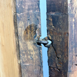 Colonne ou petite armoire en bois peint noir et doré, Italie, XIXe siècle
