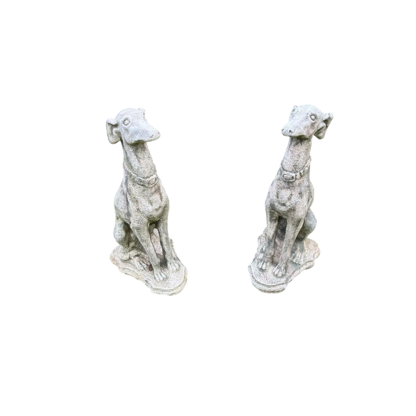 Pair of seated greyhounds in reconstituted stone - Sculptures - Garden decoration, Portugal, 20th century