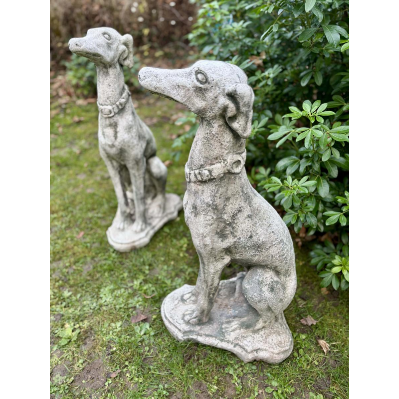 Paire de lévriers assis en pierre reconstituée - Sculptures - Décor de jardin, Portugal XXe siècle