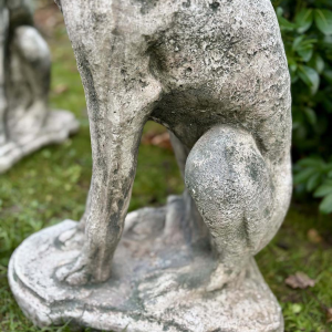 Paire de lévriers assis en pierre reconstituée - Sculptures - Décor de jardin, Portugal XXe siècle