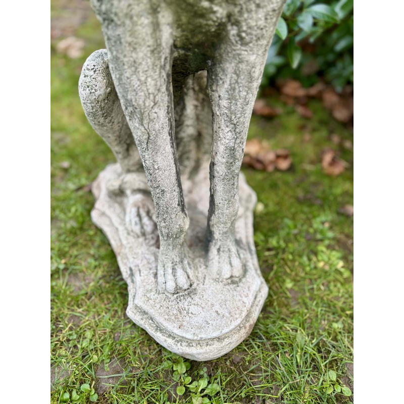 Paire de lévriers assis en pierre reconstituée - Sculptures - Décor de jardin, Portugal XXe siècle