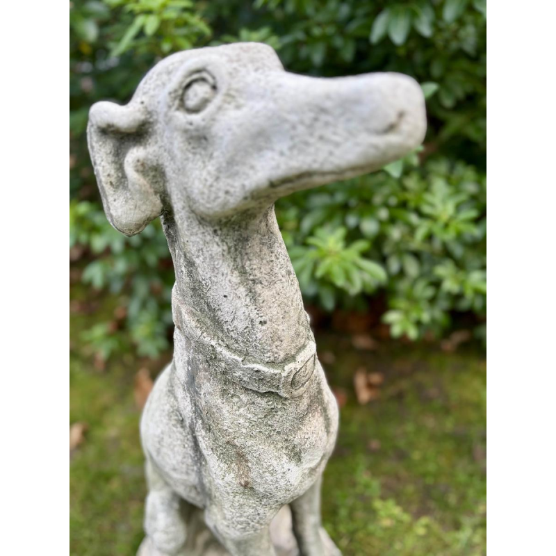 Paire de lévriers assis en pierre reconstituée - Sculptures - Décor de jardin, Portugal XXe siècle