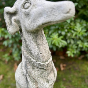 Paire de lévriers assis en pierre reconstituée - Sculptures - Décor de jardin, Portugal XXe siècle