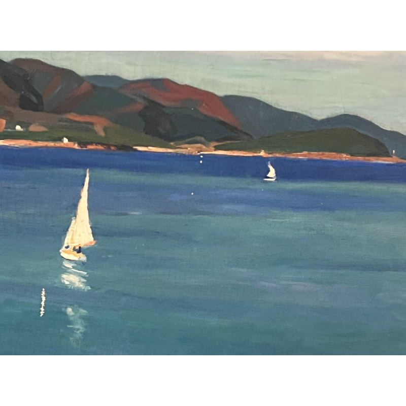 "Uitzicht op de baai van Aguay" Olieverf op doek van Edmond Astruc, 20e eeuw