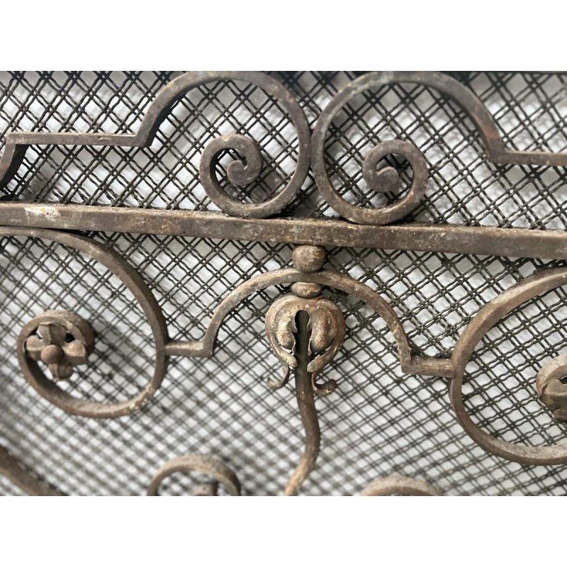 Hammered wrought iron gate, decorated with scrolls, flowers and foliage, 20th century