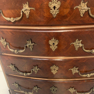 Commode in Napoleon III-stijl van palissander en mahoniehout – 20e eeuw