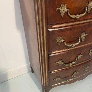 Commode in Napoleon III-stijl van palissander en mahoniehout – 20e eeuw