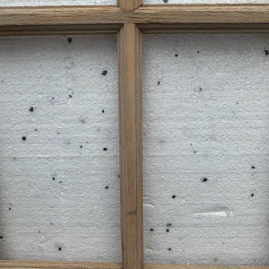 Set of three fir wood partition doors, 20th century