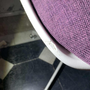 MAURICE BURKE pour ARKANA, Paire de chaises " Tulipe " pivotantes, 1960