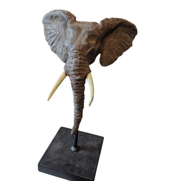 Adama Gandema, lost wax bronze, elephant head