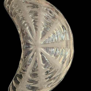 René Lalique "pissenlit" 6 assiettes à salade verre blanc moulé pressé satiné, modèle créé en 1924