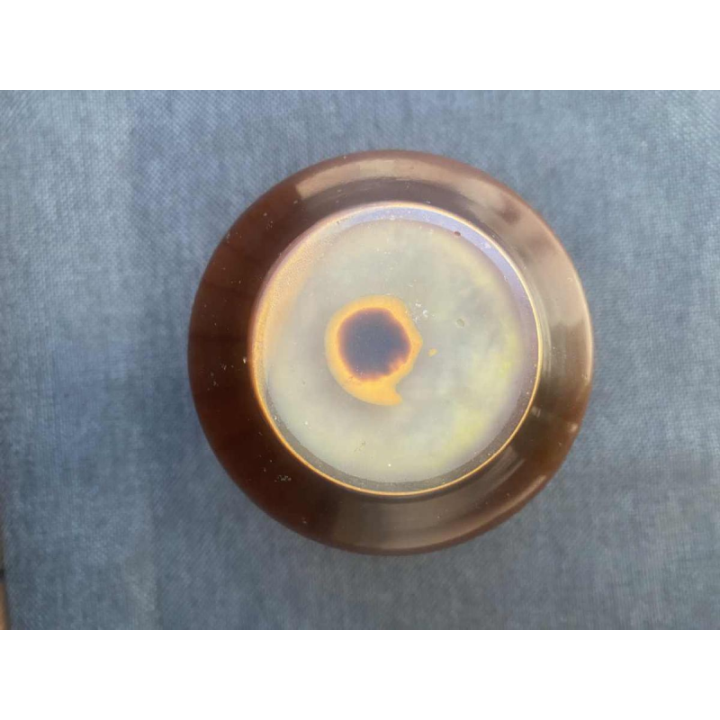 Emile Gallé, Art Nouveau pâte de verre vaas met leliemotief, ca 1900