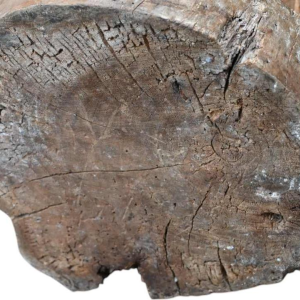 Fruitwood sculpture of a judge or magistrate, 17th century statue