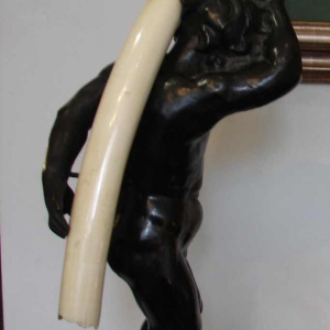 L'enfant porteur de défense de Frans Joris