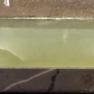 Art Deco statuette "Jeune femme à l'oiseau" in silvered bronze and onyx