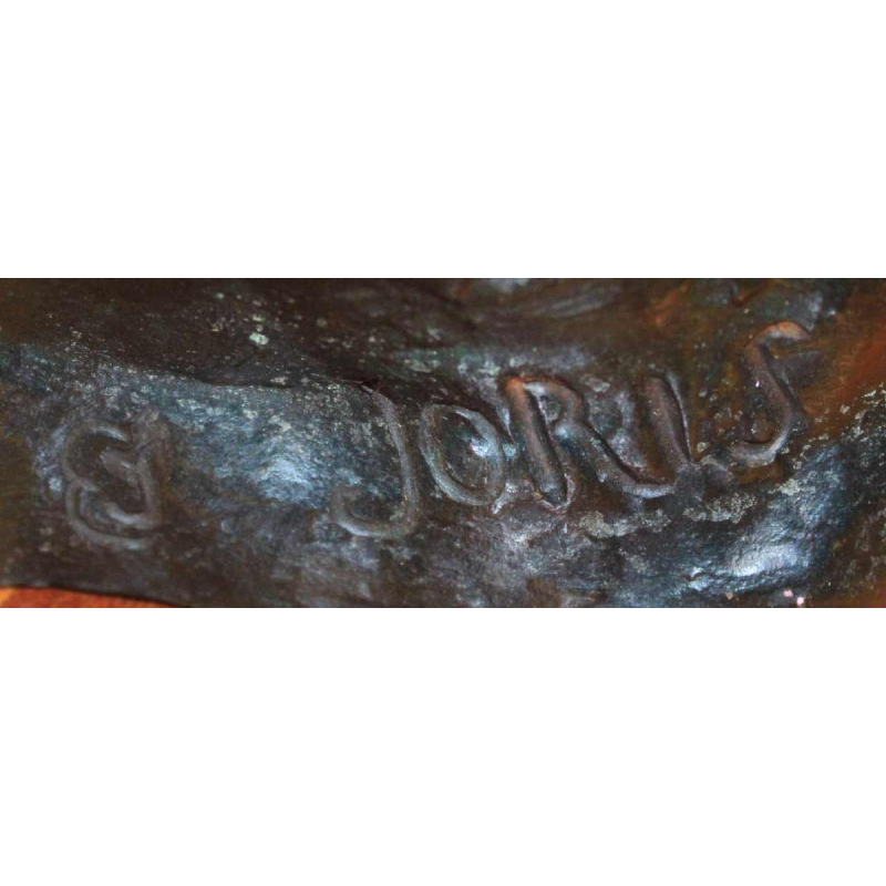 L'enfant porteur de défense de Frans Joris