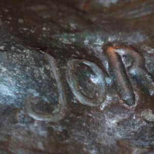 L'enfant porteur de défense de Frans Joris