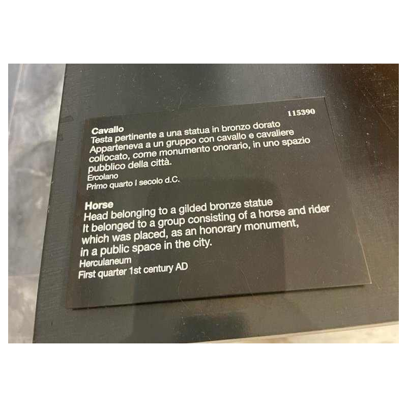 Bronzen paardenhoofd door Daniel Monic