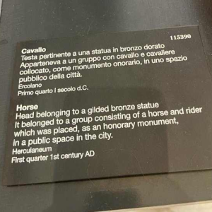 Tête de cheval en bronze de Daniel Monic