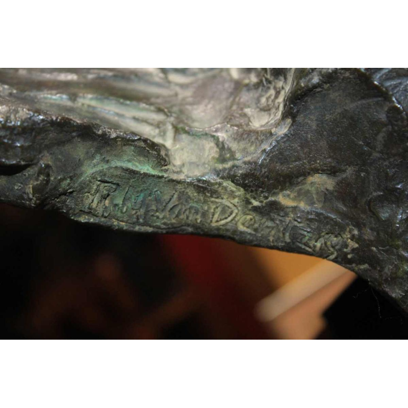 Le Violoniste Rachel Van Danzig