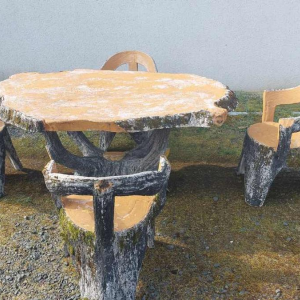 Salon de jardin 'Bois, arbre, branches, tronc' table et 4 chaises en béton, XXe s