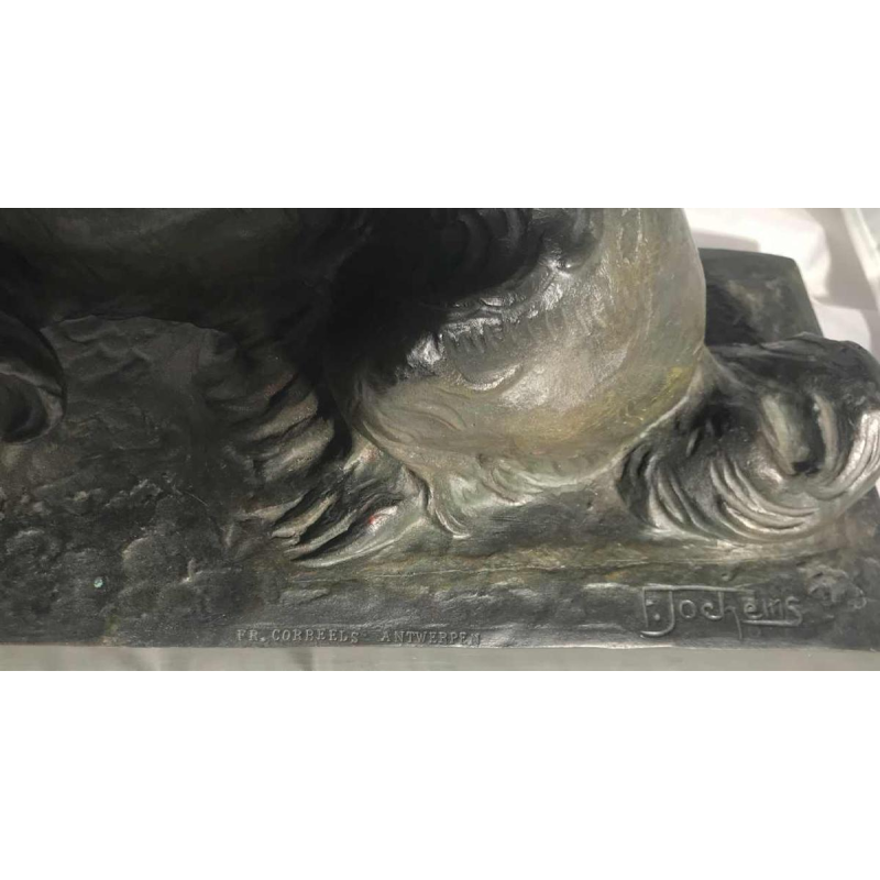 Le Pékinois de Frans Jorchems