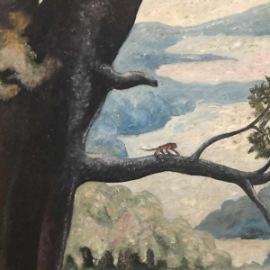 La Savane Gerard Laenen