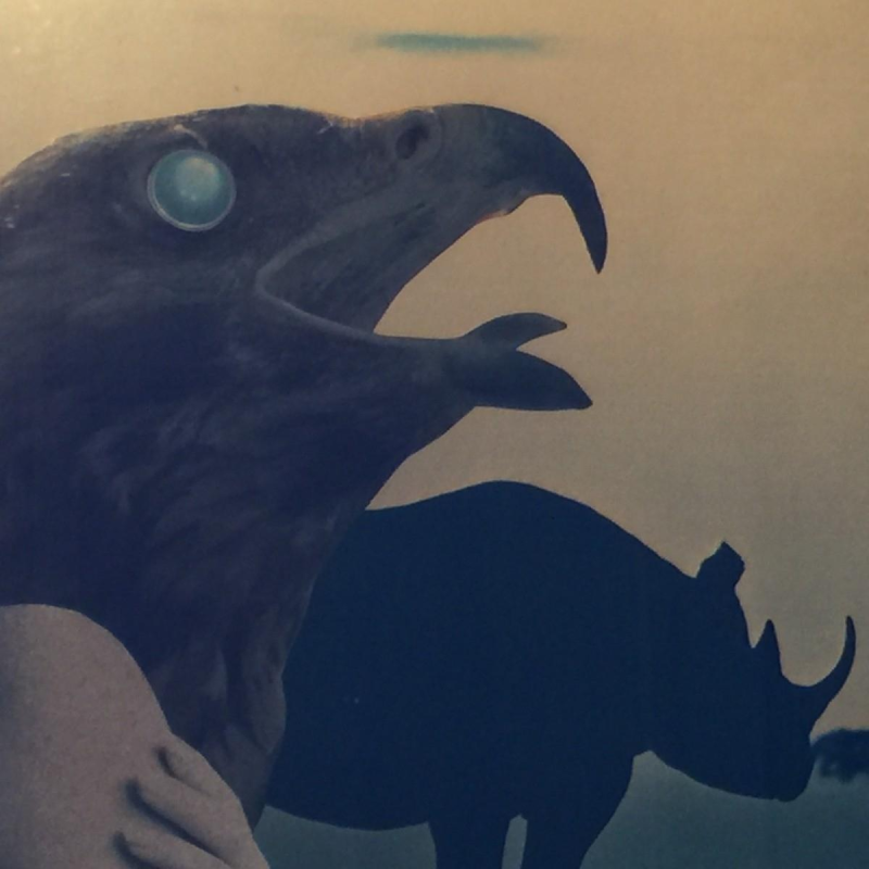 Surrealistische collage toegeschreven aan Carlos de Radzitzky - circa 1960