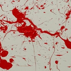 JUDEL - Retour de Monaco