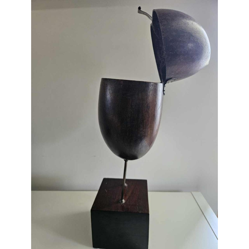 Coco Fesse / des mers (Lodoicea maldivica) "boîte" montée sur socle