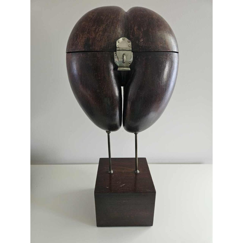 Coco Fesse / of the seas (Lodoicea maldivica) box mounted on base