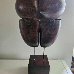 Coco Fesse / of the seas (Lodoicea maldivica) box mounted on base