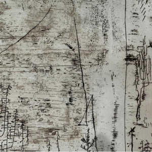 Zao Wou Ki «Flore et faune»